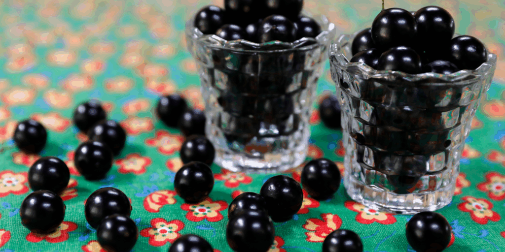 drink de jabuticaba